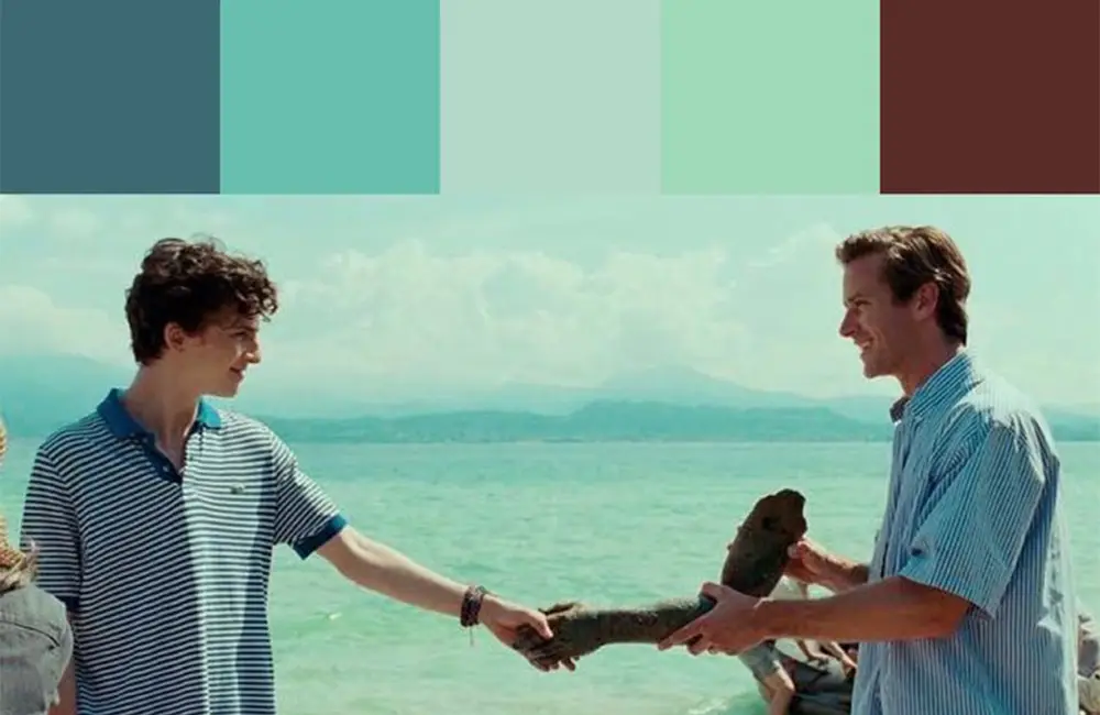 filme "Me chame pelo meu nome"